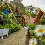 Kemer'de tatil yaparken ihtiyaçlarınıza uygun birçok otel bulabilirsiniz.